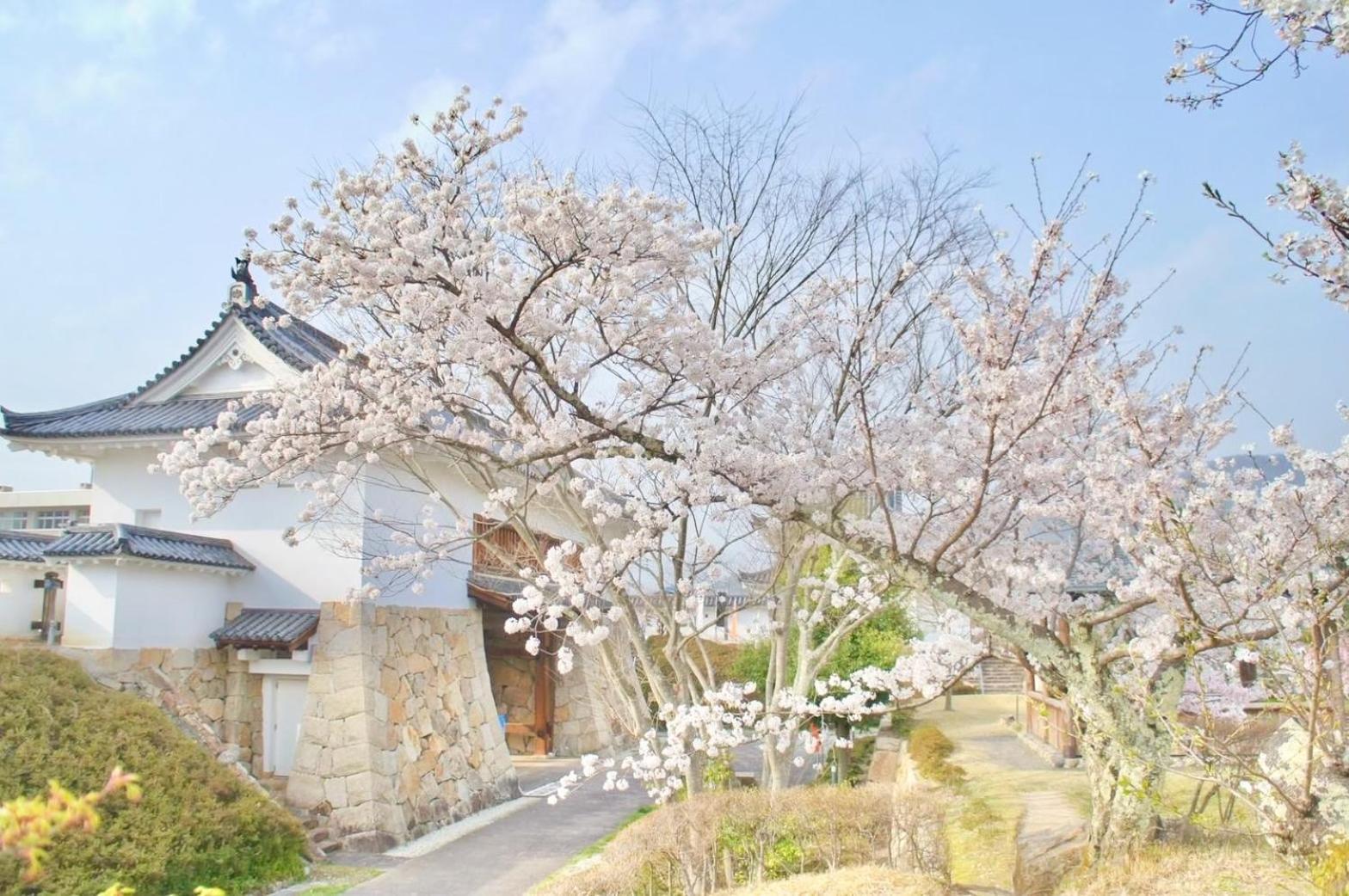 古民家の宿宰嘉庵 Traditionaljapanisehotel Saikaan Maizuru Exterior foto